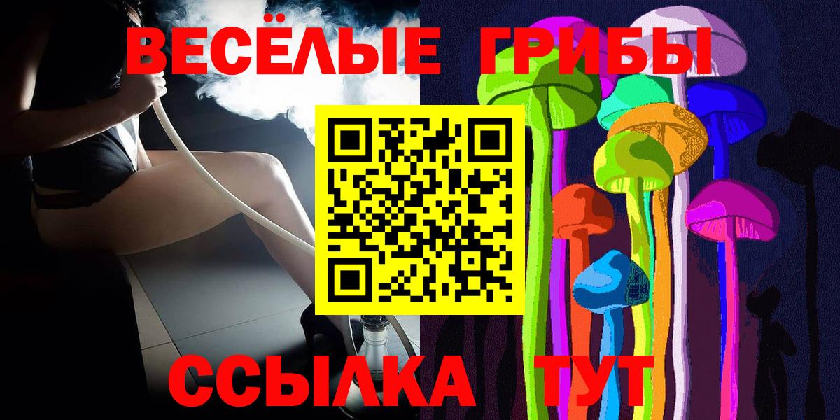 Галлюциногенные грибы MAGIC MUSHROOMS  Вход с VPN  Новозыбков 